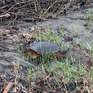 Meet your Posher, Jakob